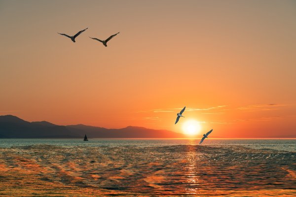 Счастье природа рассвет