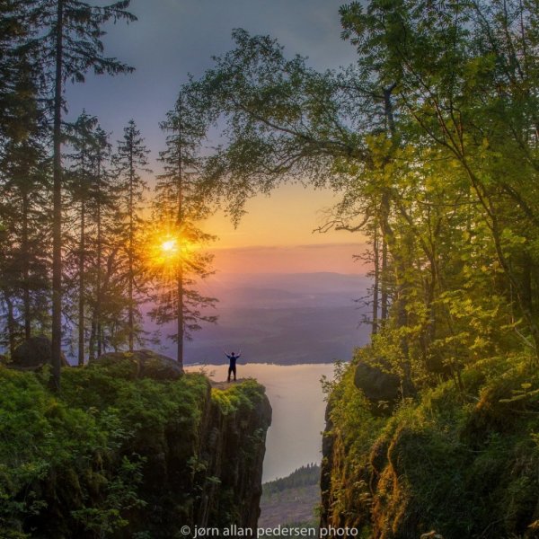 Кояшское озеро тюльпаны Дикие