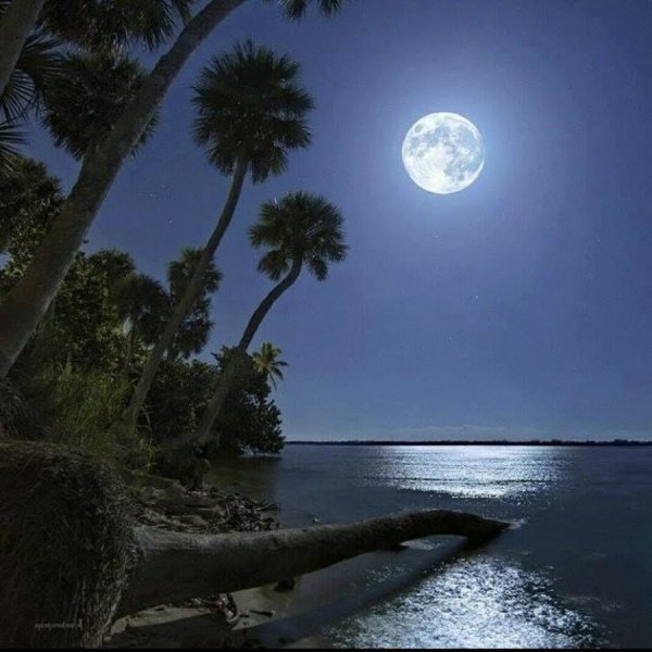 Ночь Луна море