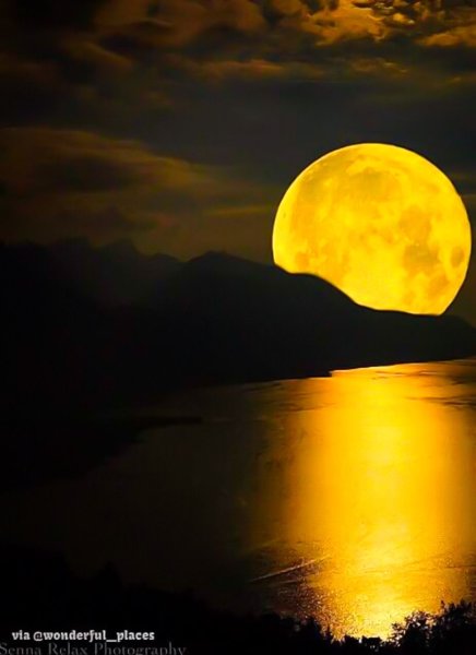 Лунная ночь