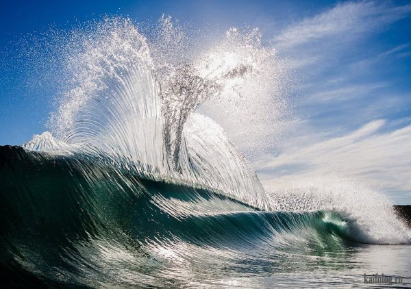 Австралийский фотограф Мэтт Берджесс