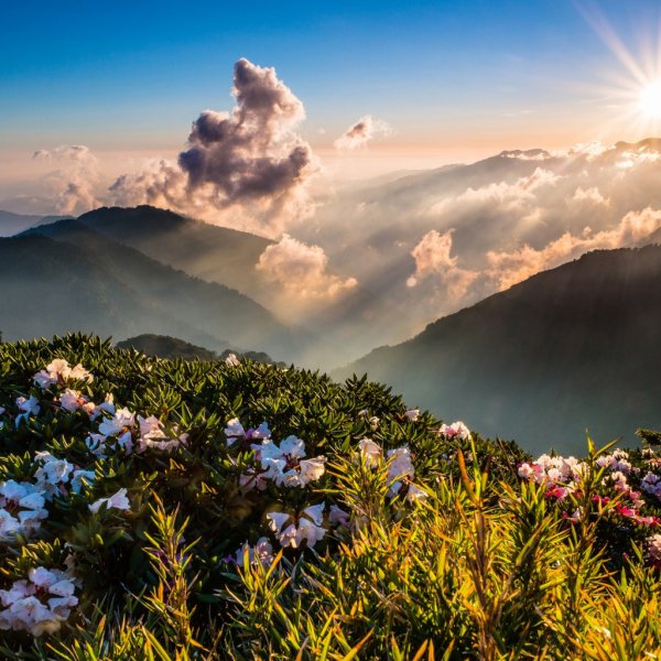 Летнее утро в горах