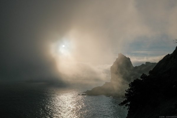 Побережье в тумане