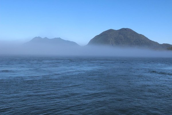 Берег моря туман