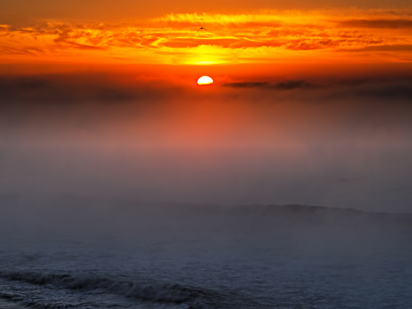 Скалы море туман