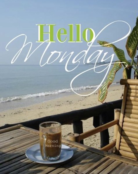 Доброе утро пальмы и море