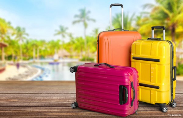 Чемодан для путешествий