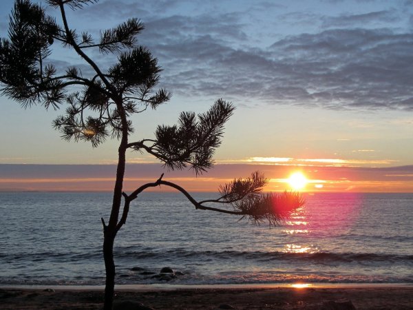 Репино берег финского залива осенью