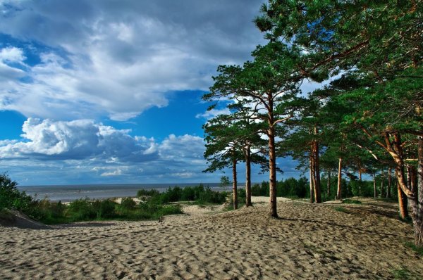 Остров Ягры Северодвинск белое море