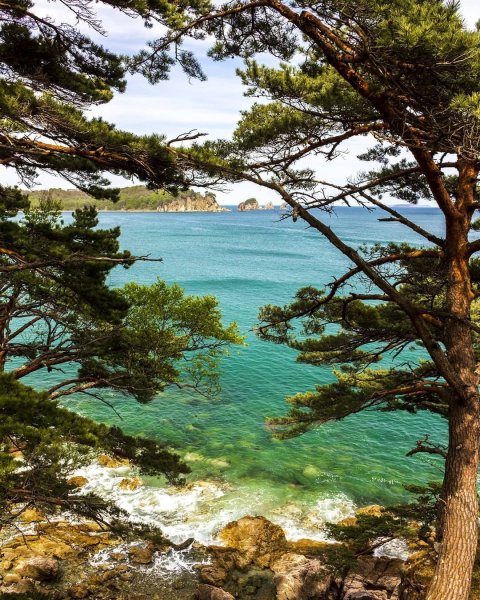 Мыс Сосновый Приморский край