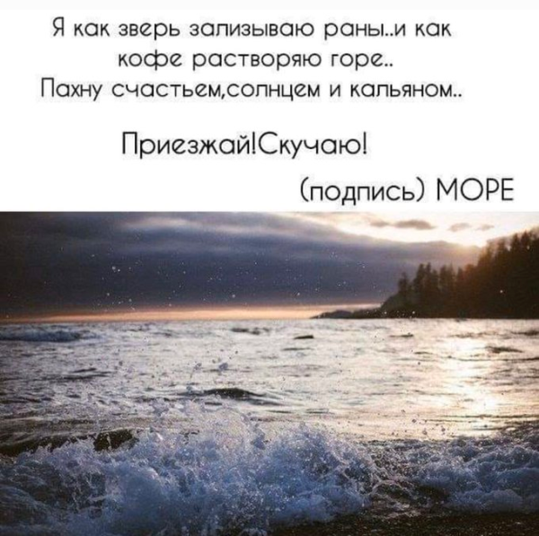 Прикольные цитптыпро море