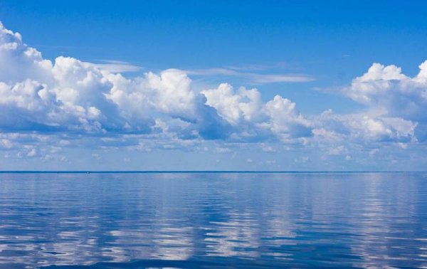 Черное море штиль