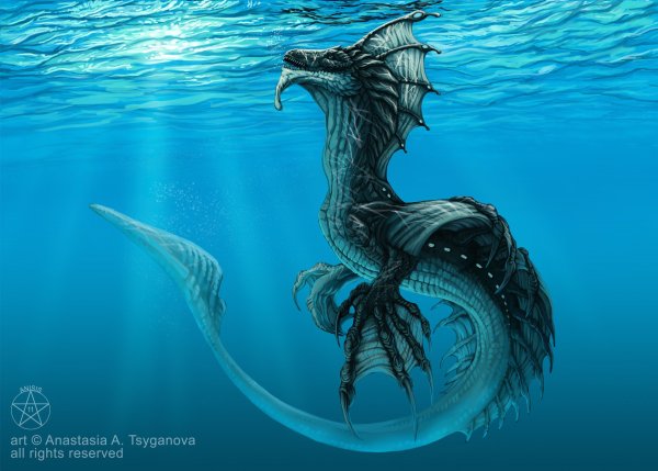 Морской дракон (Draco Marinus)