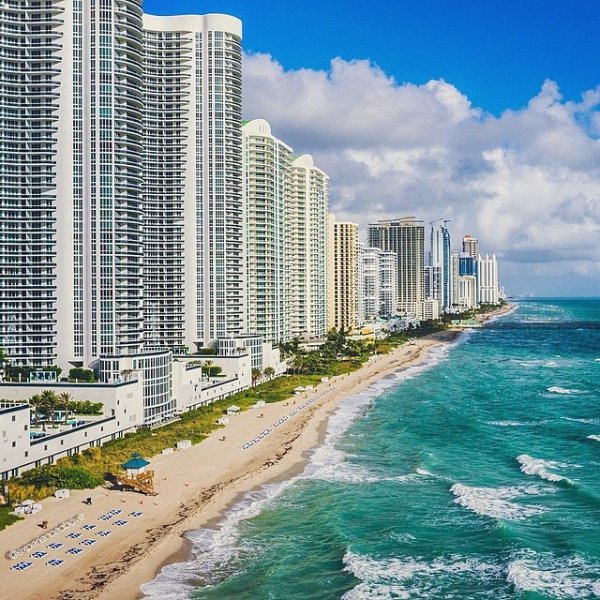 Майами Флорида пальмы