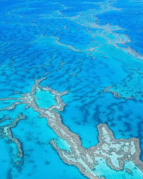 Саргассово море Бермудский треугольник