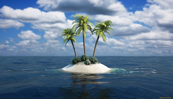 Дельфин в море