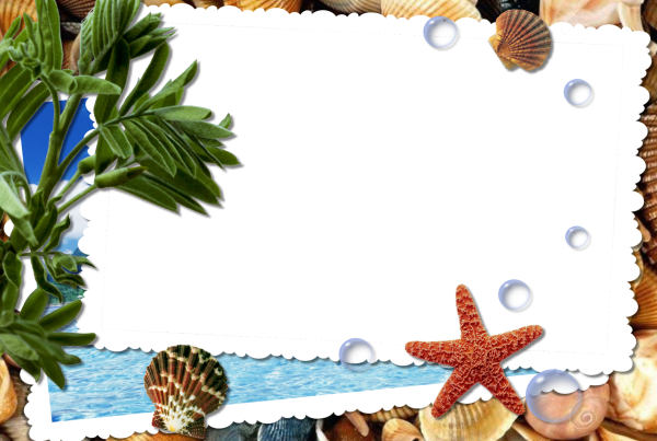 Рамка морская