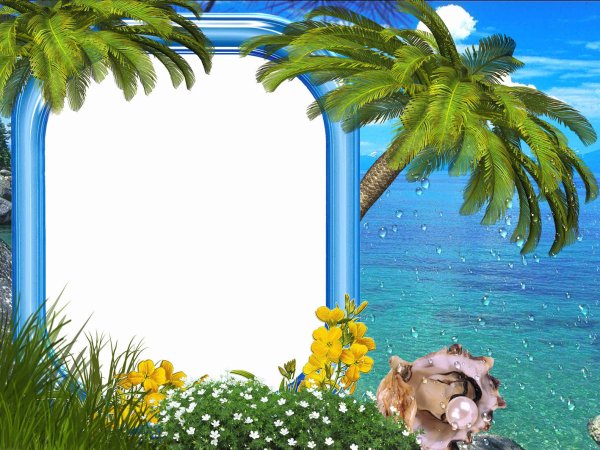 Рамка пальмы