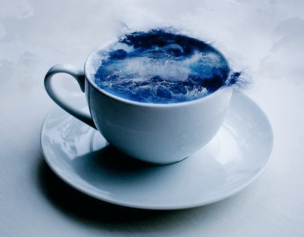 Океан в кружке