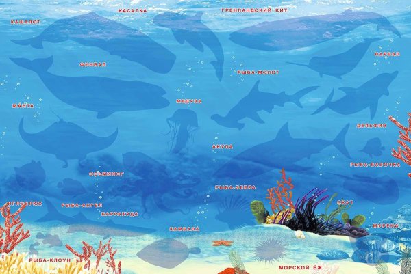 Карта океанов для детей