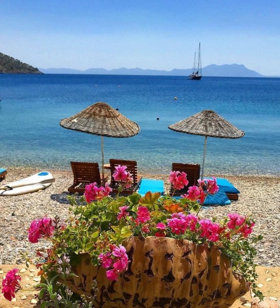 Олюдениз турецкий завтрак