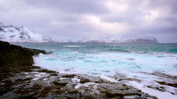 Северное и норвежское моря
