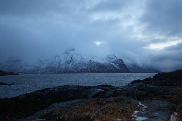 Норвежское море