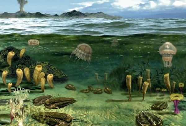 Протерозойская Эра Кембрий