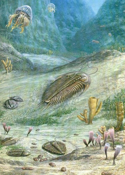 Палеозойская Эра Кембрий