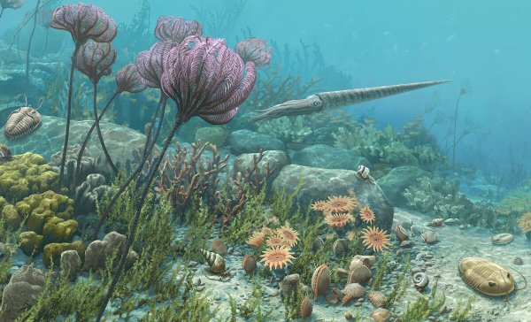 Ордовикский палеозой