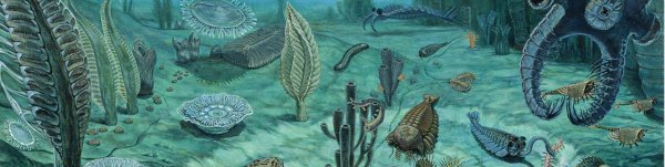 Протерозойская Эра Кембрий