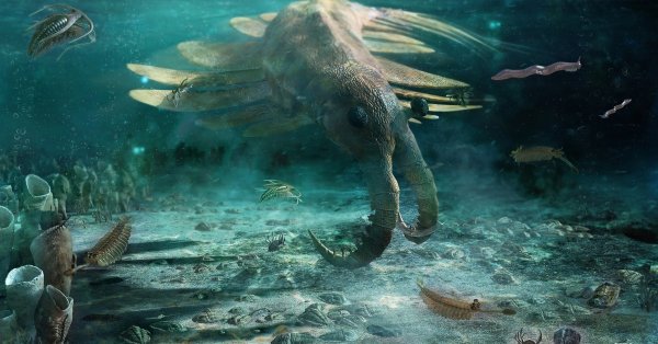 Кембрийская Эра