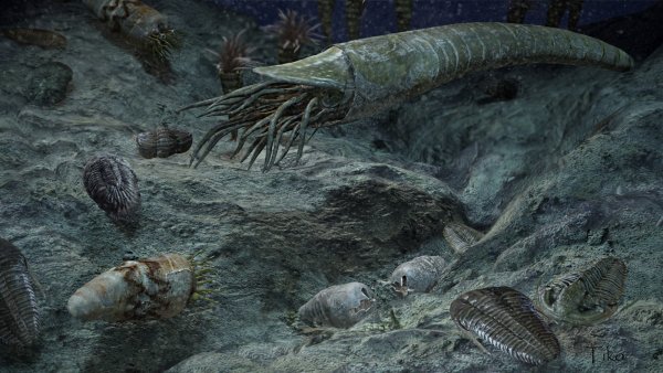 Палеозой Эра силурийский период