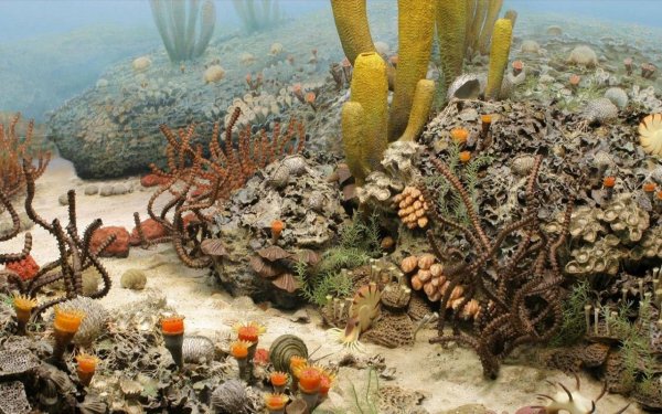 Морские животные мезозойской эры