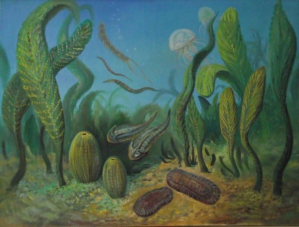 Кембрийский ордовикский силурийский