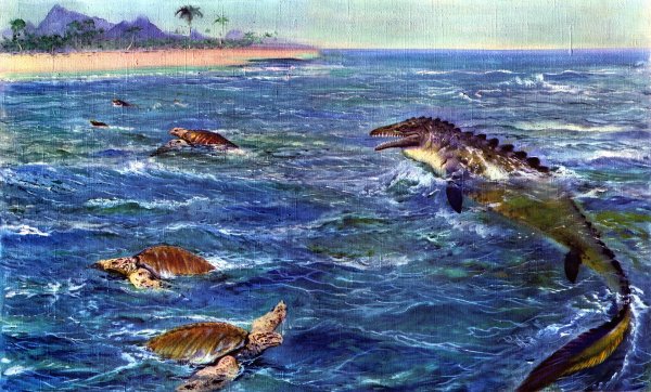 Трилобиты Силур