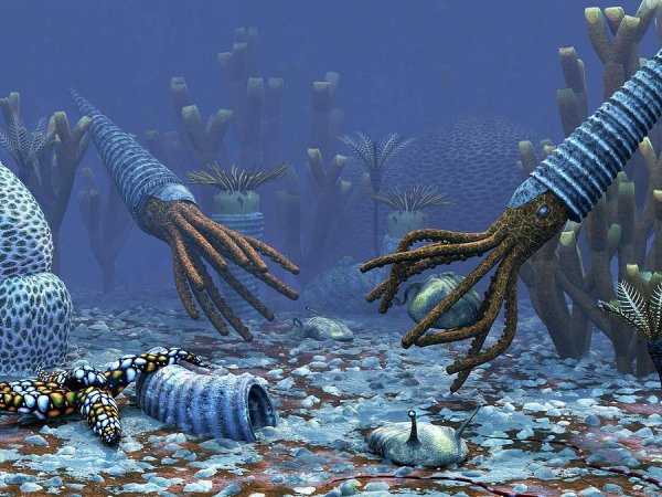 Протерозойская Эра (протерозой)