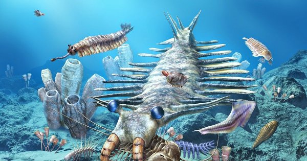 Ордовик Эра