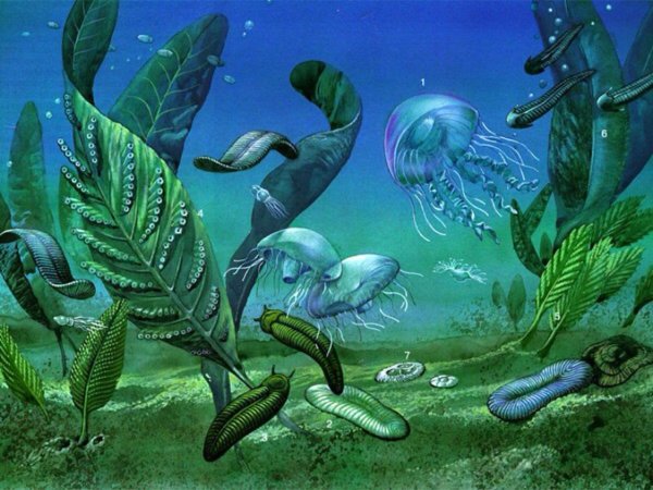 Палеозойская Эра Кембрийский период таблица