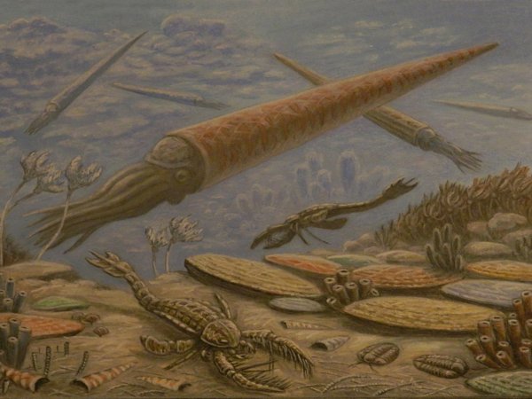 Мозазавр Глобиденс