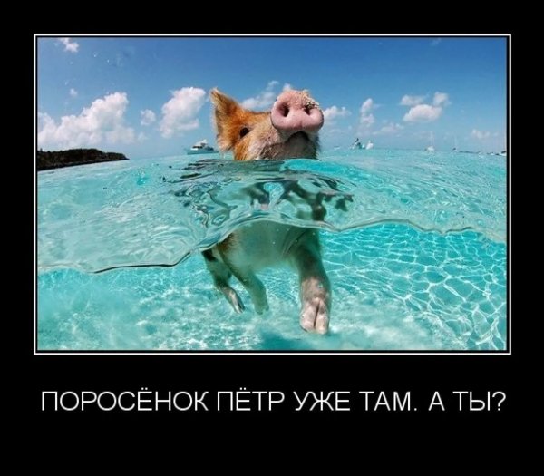 Девушка в шляпе на море