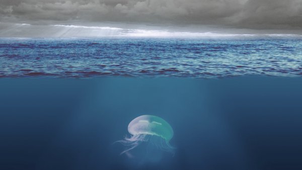 Дюны финский залив дорожка