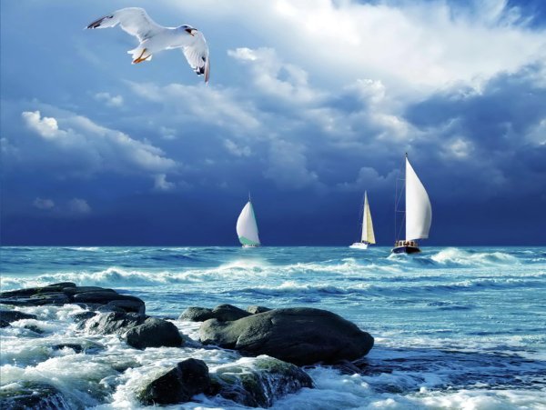 Море волны пляж