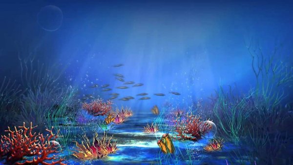 Подводное царство Русалочки