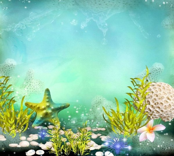 Морское дно