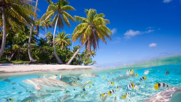 Голубая Лагуна Саона Доминикана