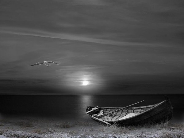 Море одинокое черно белое