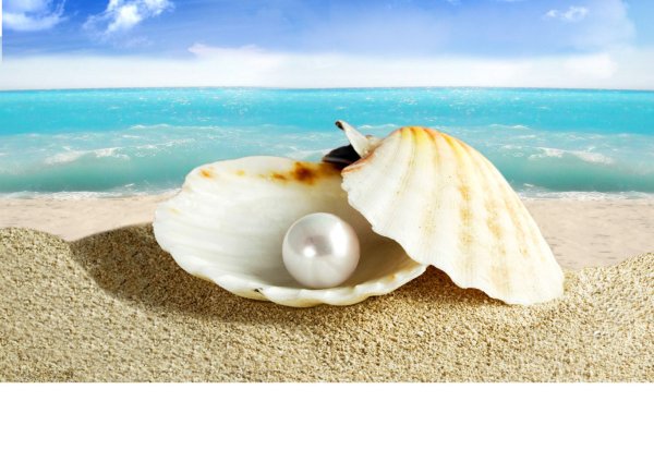 Ракушка с жемчужиной