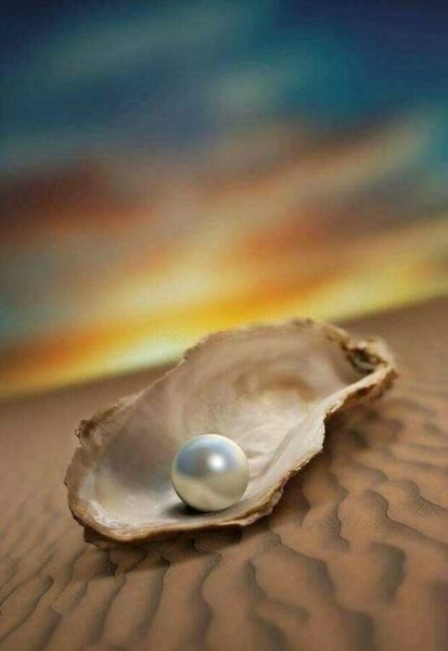 Морская раковина с жемчужиной
