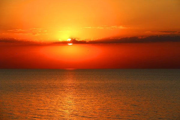 Апельсиновый закат